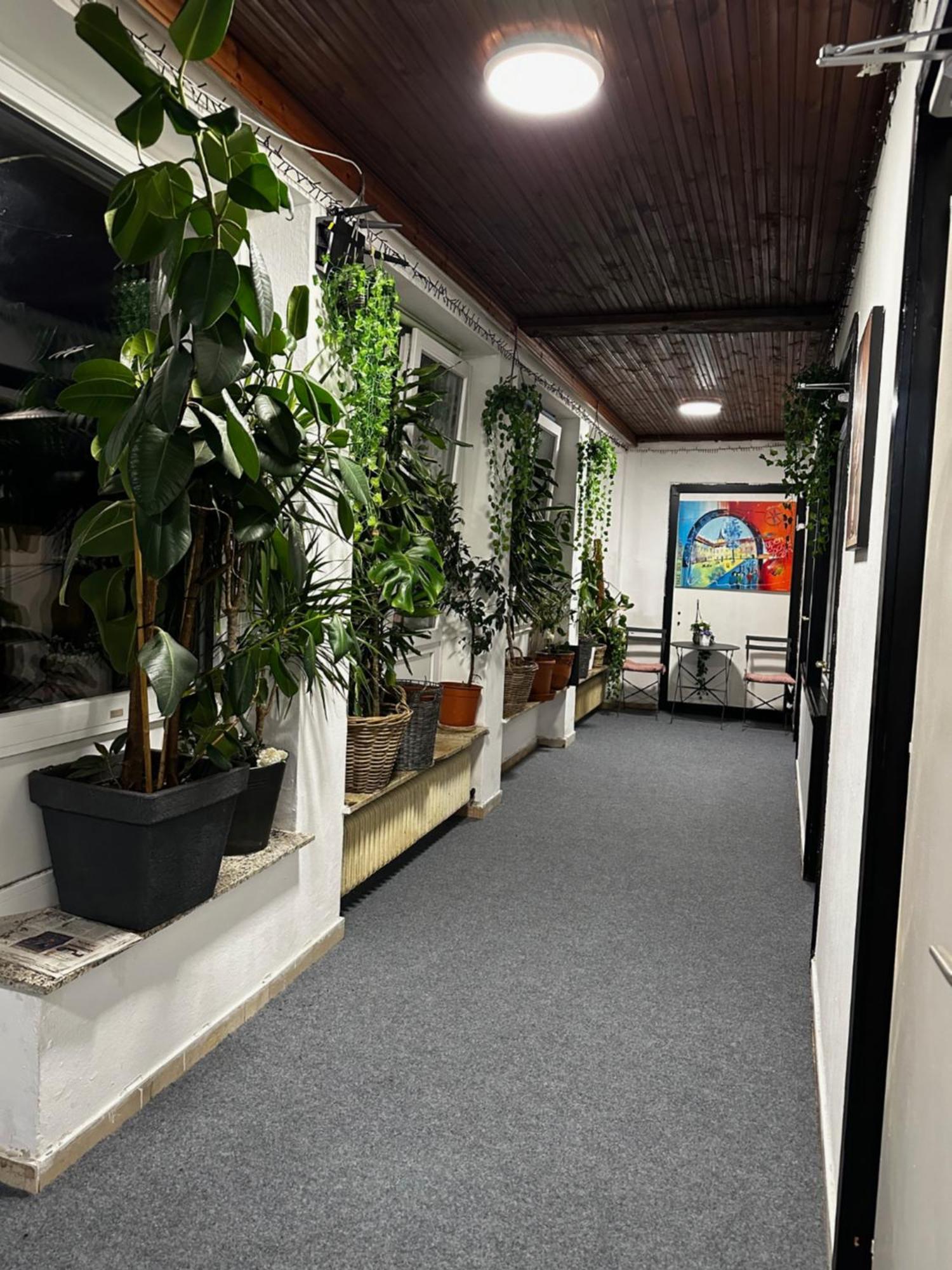 Hostel Lovely Rooms, City Center, Shared Bathroom, Windows To Corridor Villach Exterior foto