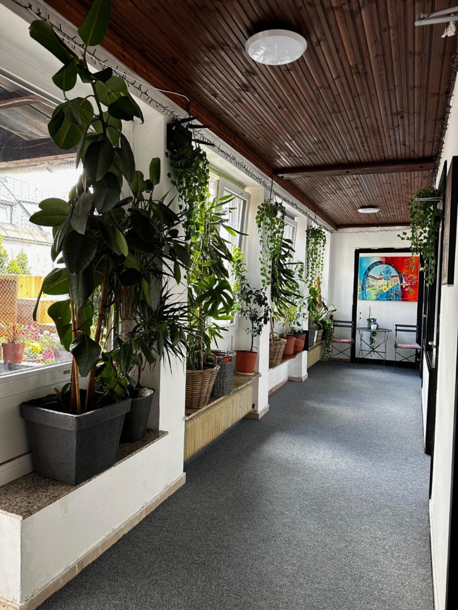 Hostel Lovely Rooms, City Center, Shared Bathroom, Windows To Corridor Villach Exterior foto